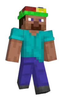 Front of skripe's skin