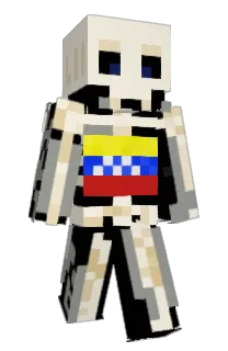 Front of Minecraft skin