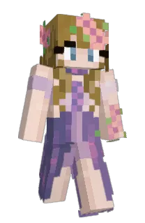 Front of Enderllama_'s skin