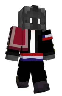 Front of GB4L's skin