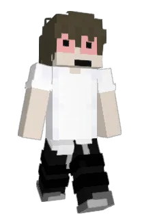 Front of Swign's skin