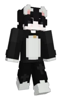 Front of damnssss's skin