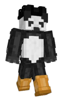 Front of ItsTeaco's skin