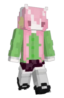 Front of Minecraft skin