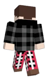 karry and blue Minecraft skin — Classic model