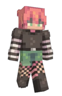 Front of kostifer's skin