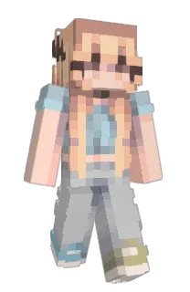 Front of InteCarro's skin