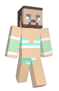 TheTonce's Minecraft skin