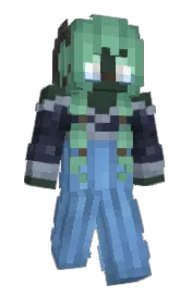 Skin preview