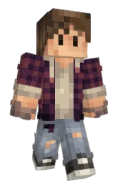 Skin preview