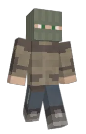 Skin preview