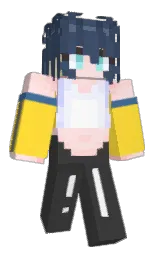 Minecraft skin — Classic model