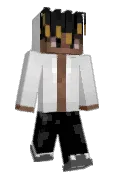 DvorZir