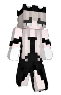 Front of Poizy's skin