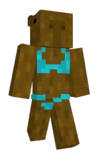 Front of Allalla72's skin