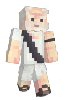 NiceGap's Minecraft skin