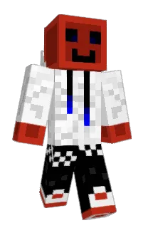 TiMiJ's Minecraft skin