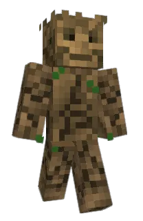 Front of Minecraft skin