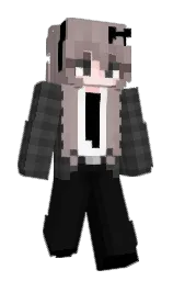 Minecraft skin — Classic model