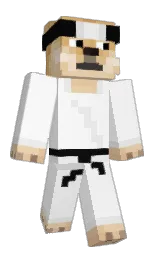 Classic Minecraft skin