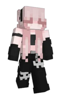 Front of tqrtilla's skin