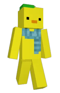 Front of Minecraft skin