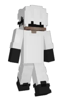 Front of yTesla's skin