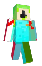 Skin preview