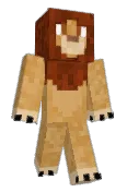 Lion_Stream