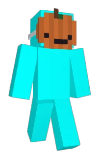 Front of gaphoodie's skin