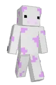 nicolottle