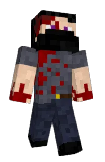 Front of ZSD14's skin