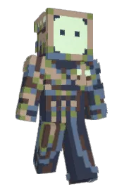 Skin preview