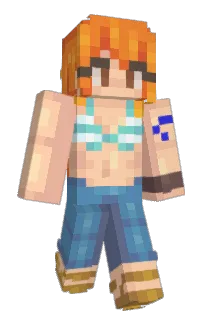 Front of SonicPlays's skin