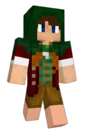 Skin preview