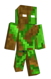 Front of Minecraft skin