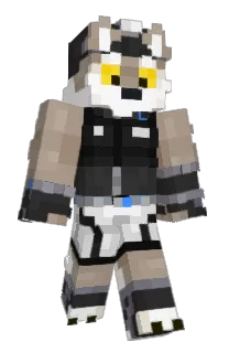 Front of aidrot's skin
