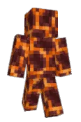 carrynet