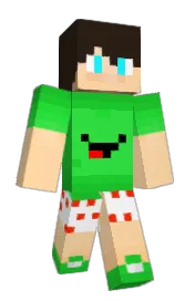 Skin preview