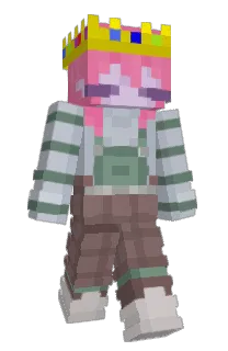 Front of Minecraft skin