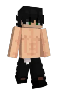 Front of simnlp's skin
