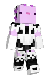 punbbe's Minecraft skin