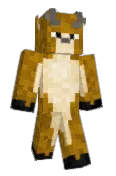 FullerSTEM