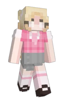 Front of spainel's skin