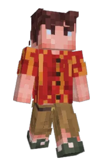 Front of cndps's skin
