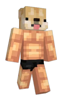 Front of GDacdc's skin