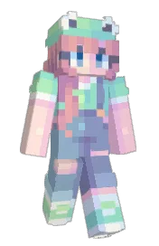 Skin preview