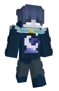 Front of boxnat's skin