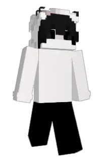 Front of Calisthentics's skin