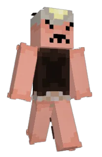 Front of Anicash999_V2's skin